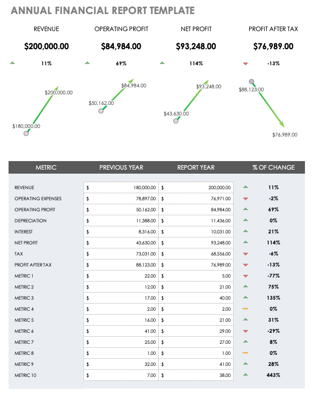 treasurer report template excel