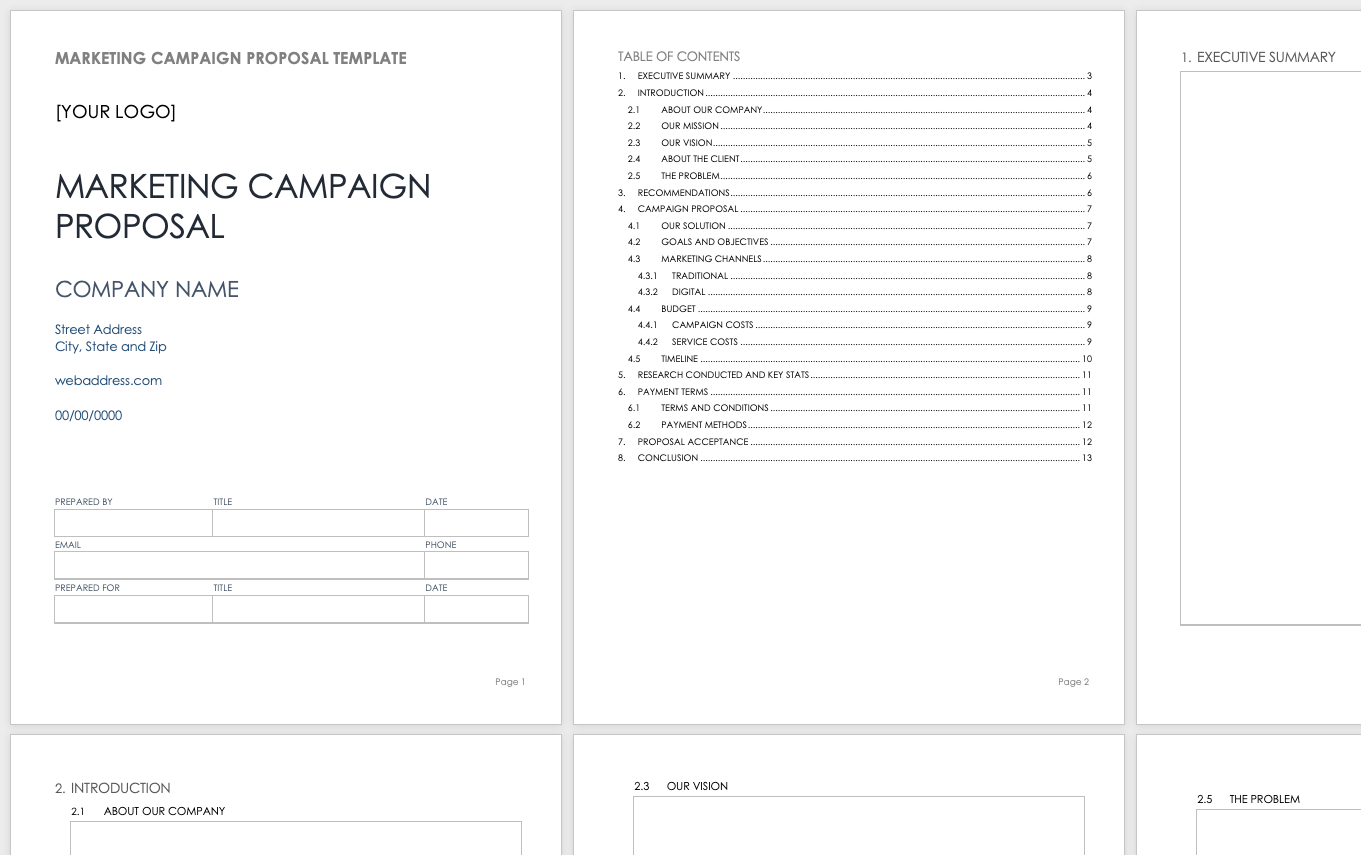 Campaign Plan Template Word