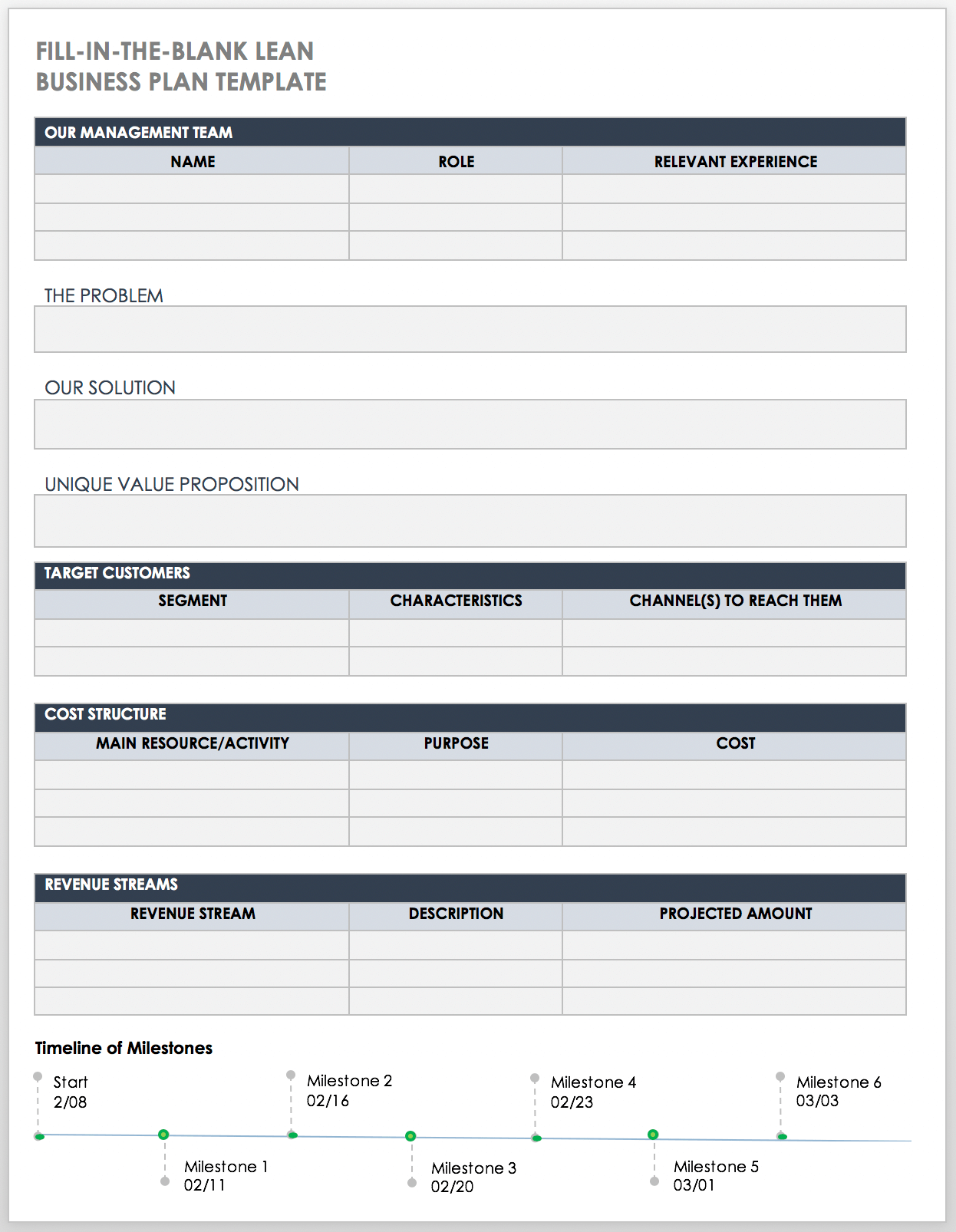 new division business plan template