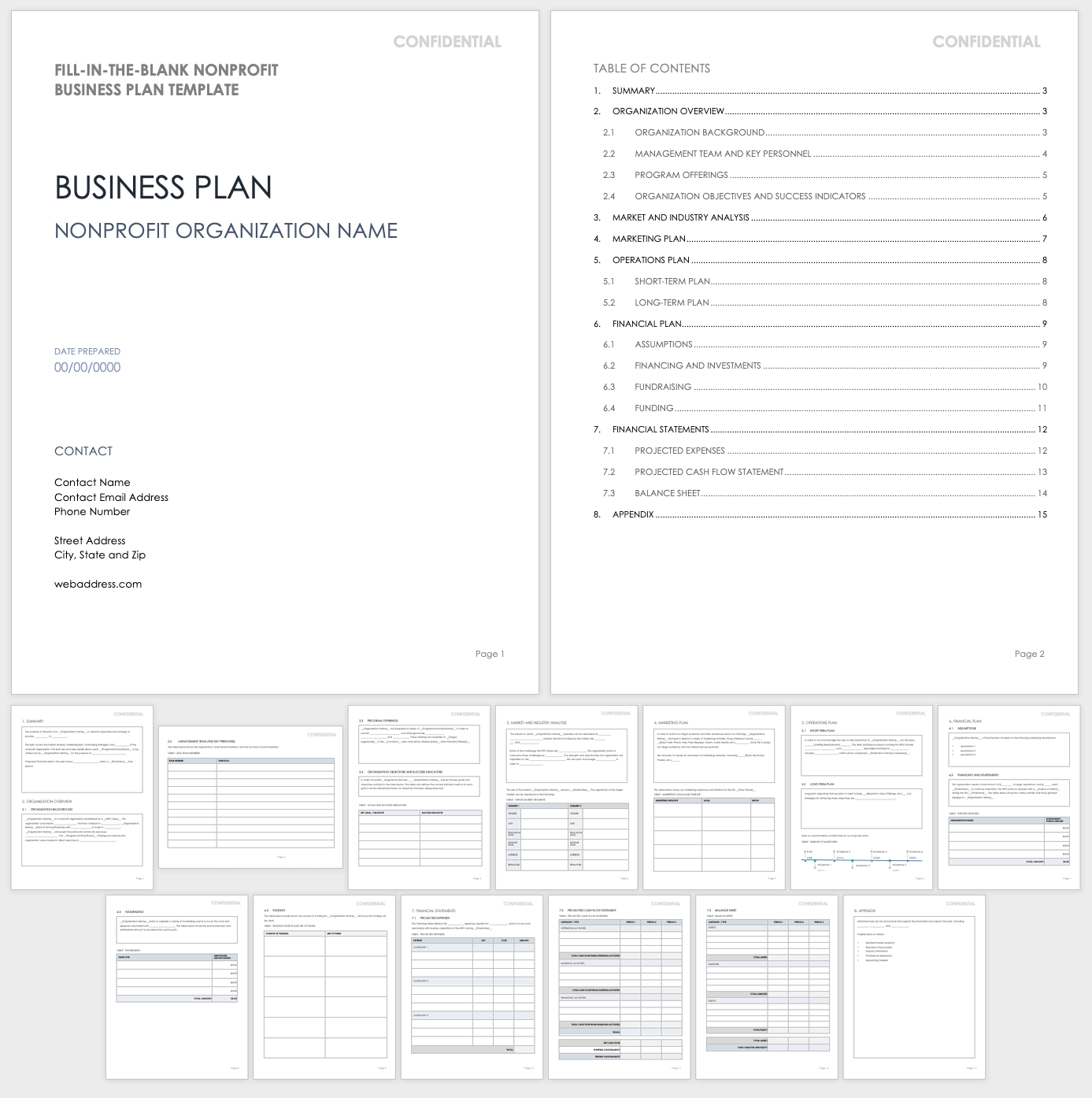 Nonprofit Business Plan Template Word