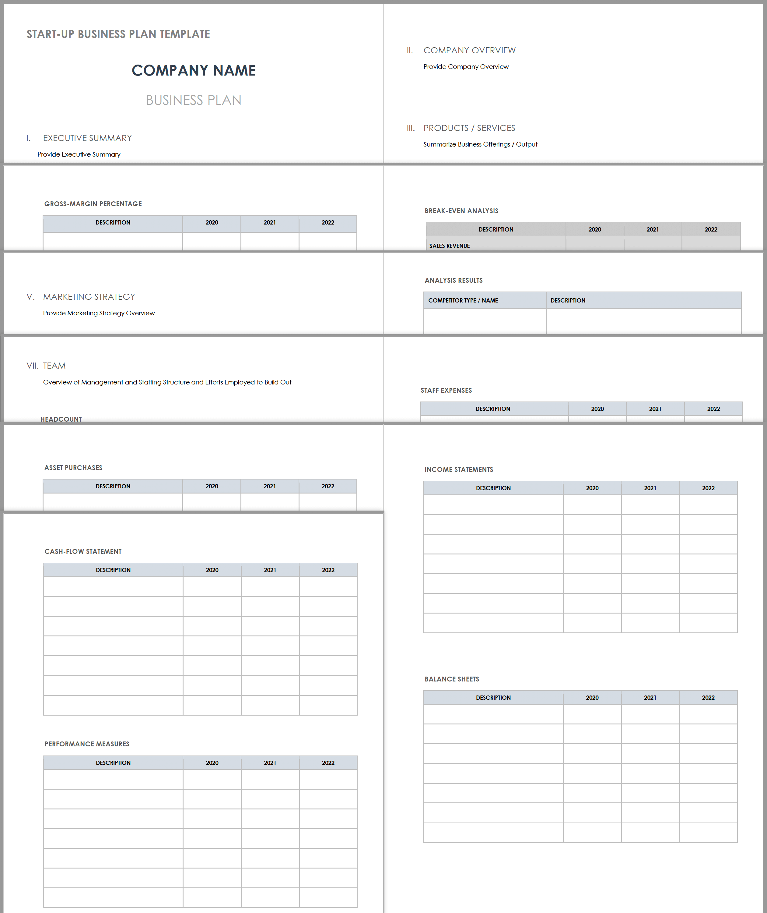 Startup Business Plan Template