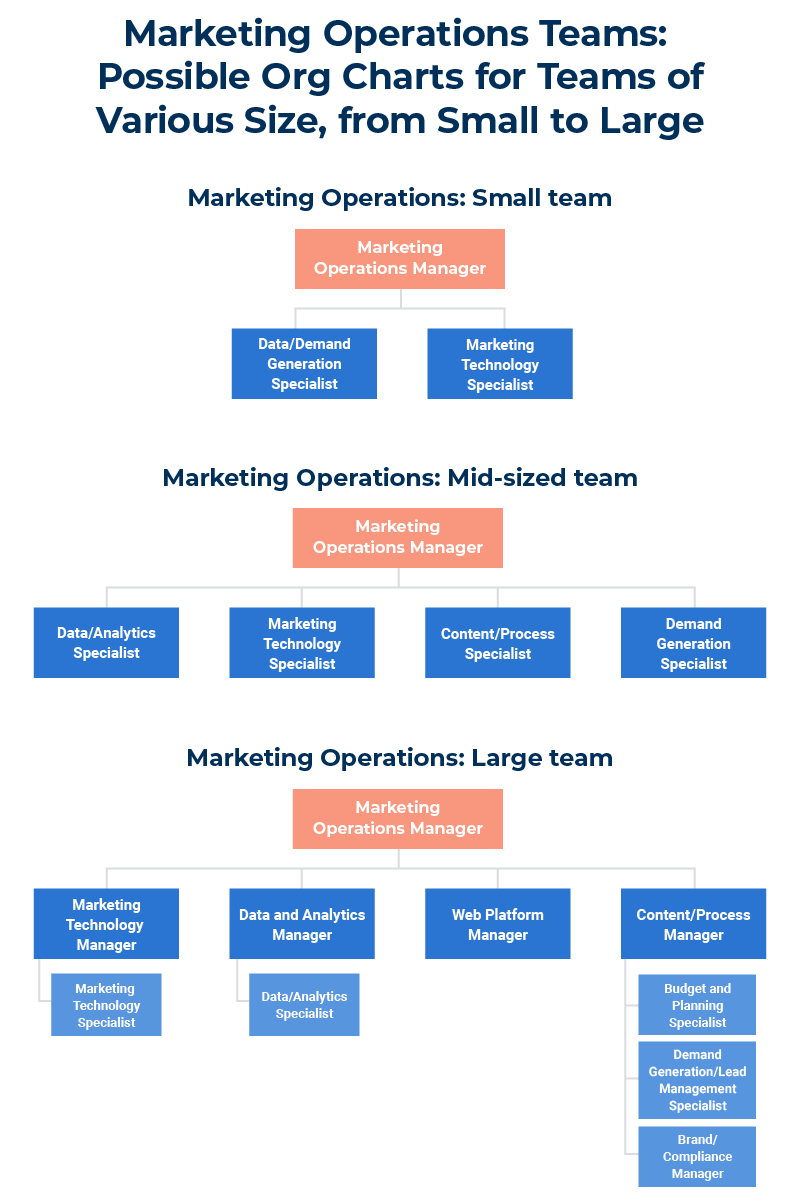 sales and marketing department structure