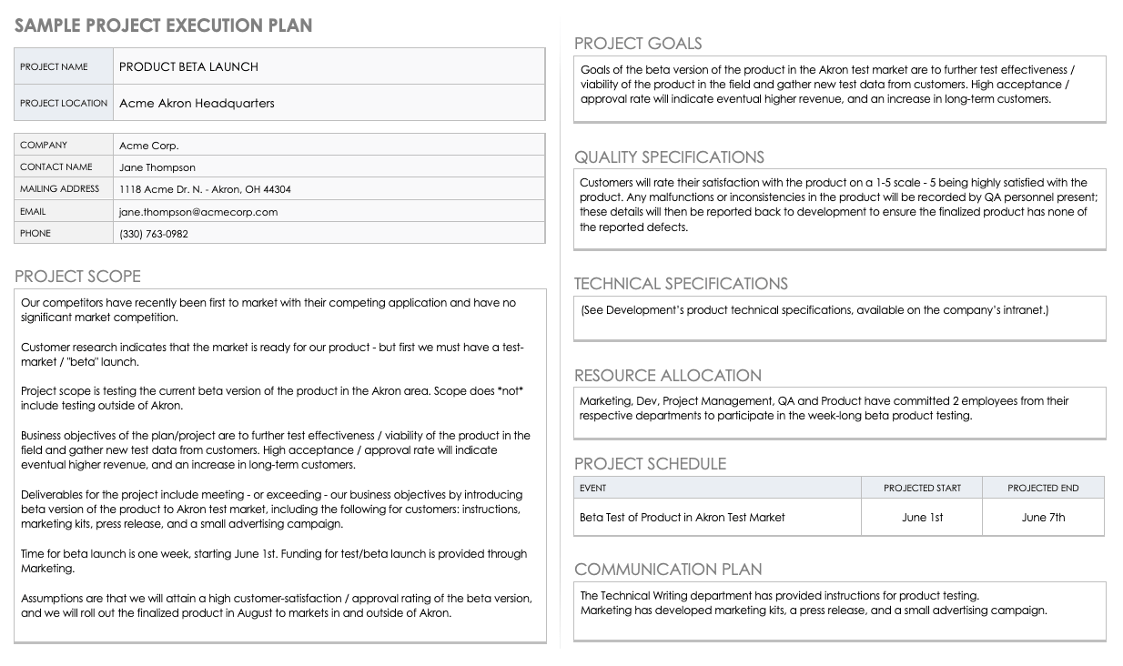 Project Execution Plan Template Word Free