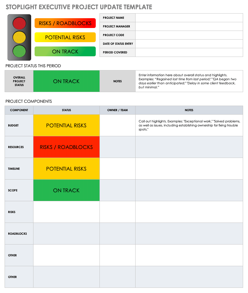 Project Management Executive Project Status Report Template