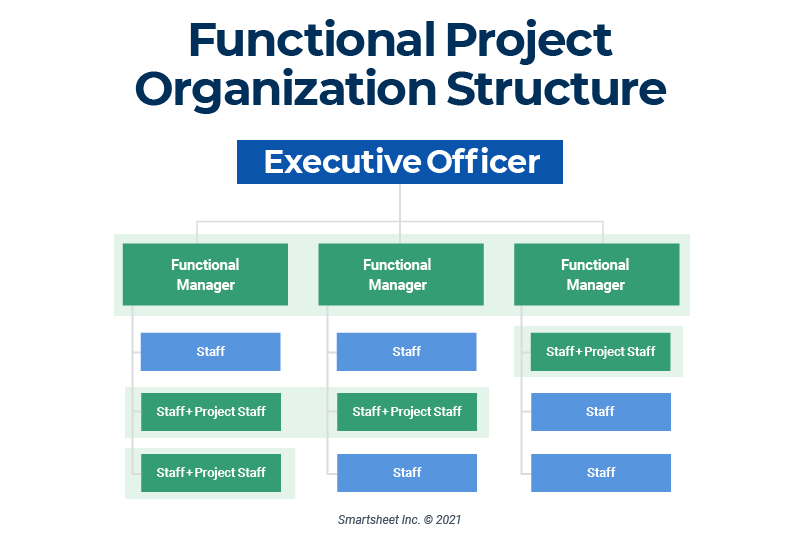 project management organization chart template