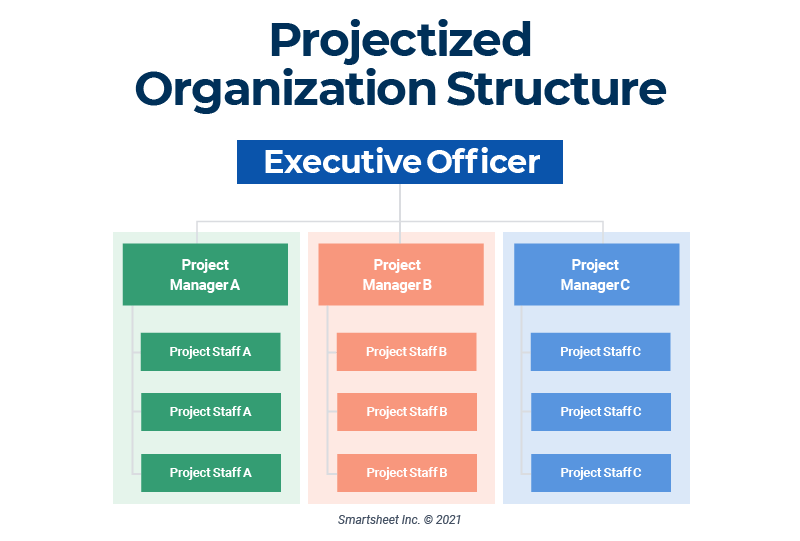 project management organization chart template