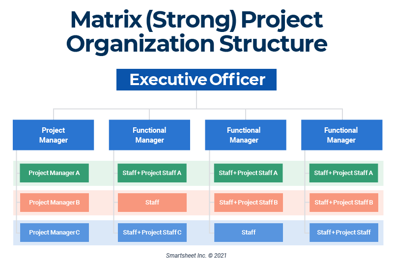 What is the hierarchy of project management?