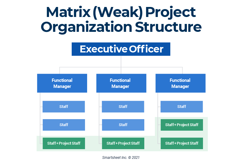 explain-difference-between-functional-organization-and-matrix-organization