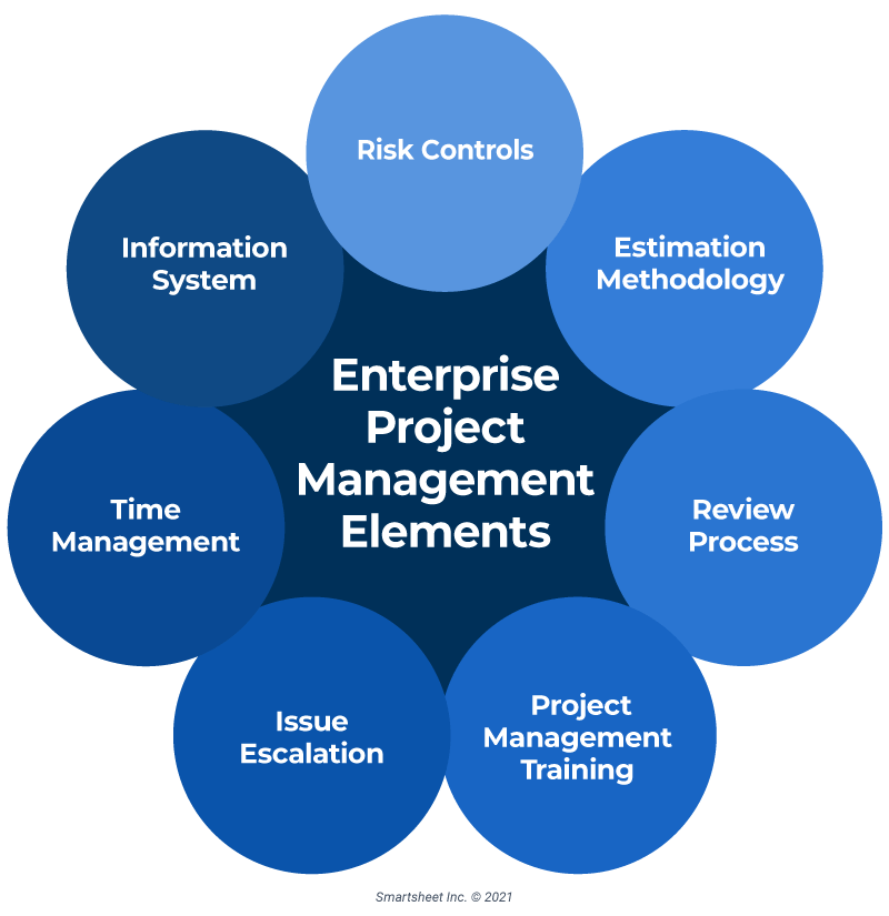 enterprise project management case study