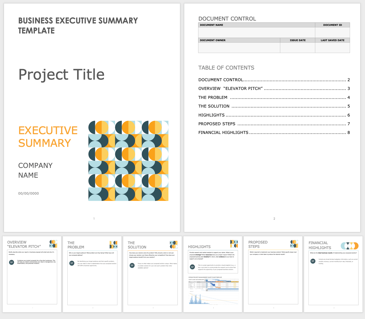 Executive Summary Template For Report   IC Business Executive Summary Template WORD 