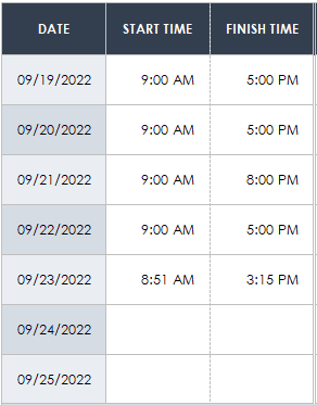 Timesheet Daily Hours