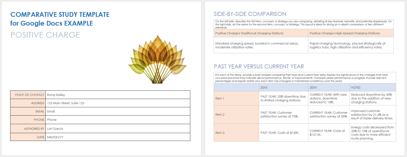 Comparative Study Example Template Google Docs