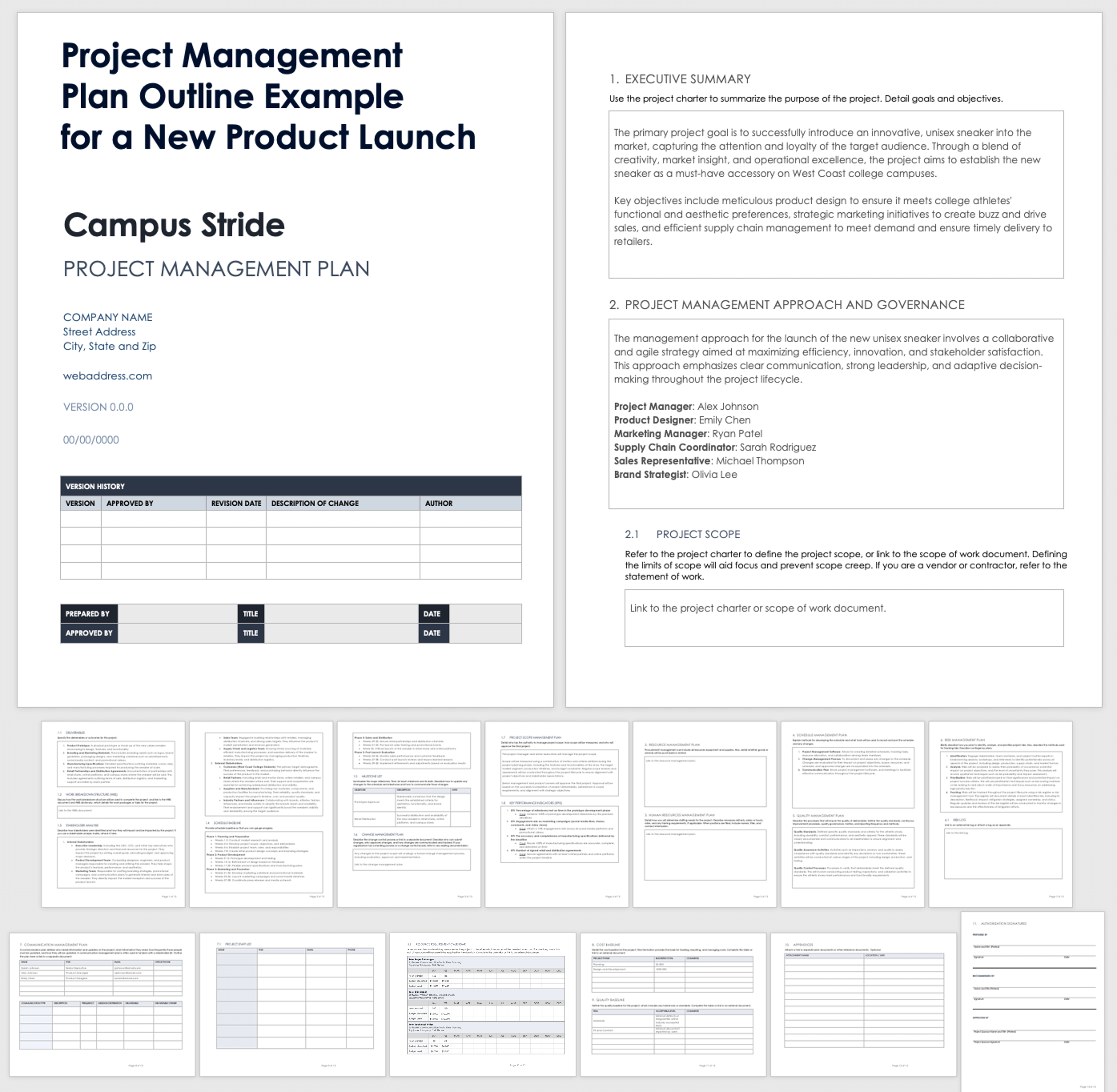 Project Management Plan Outline For A New Product Launch