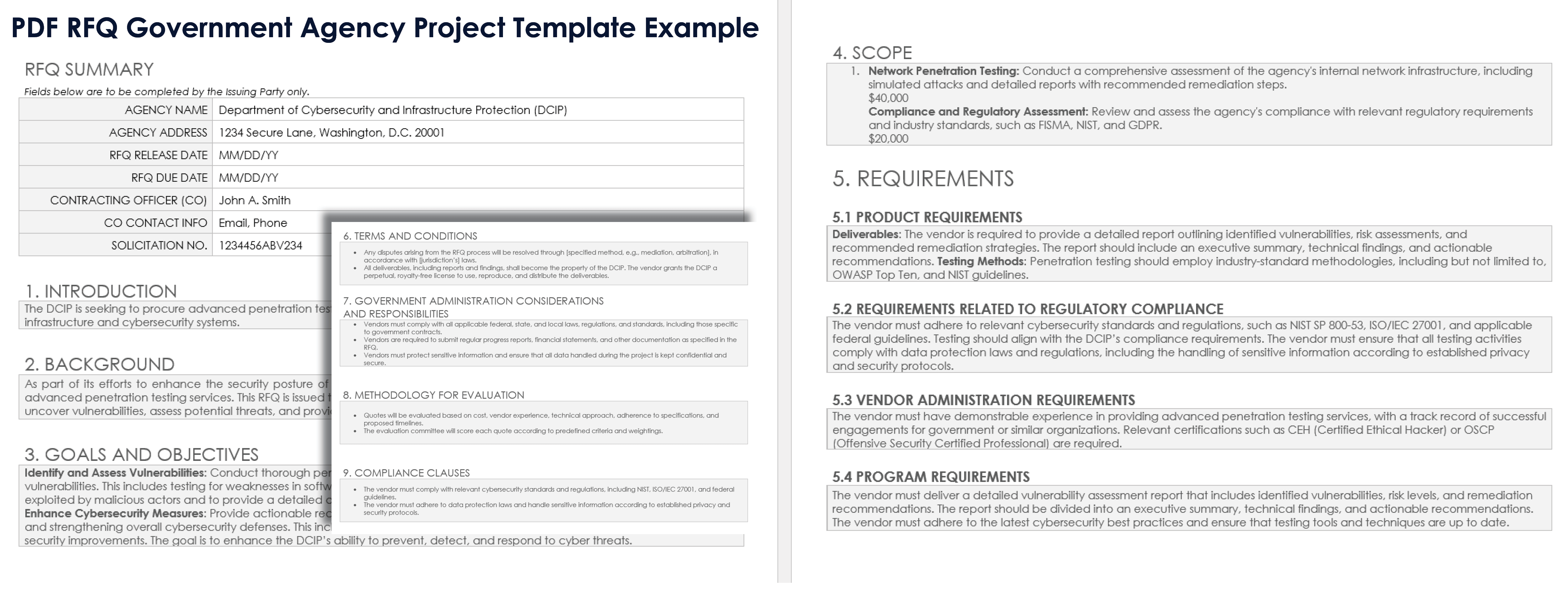 PDF Government Agency RFQ Template Example