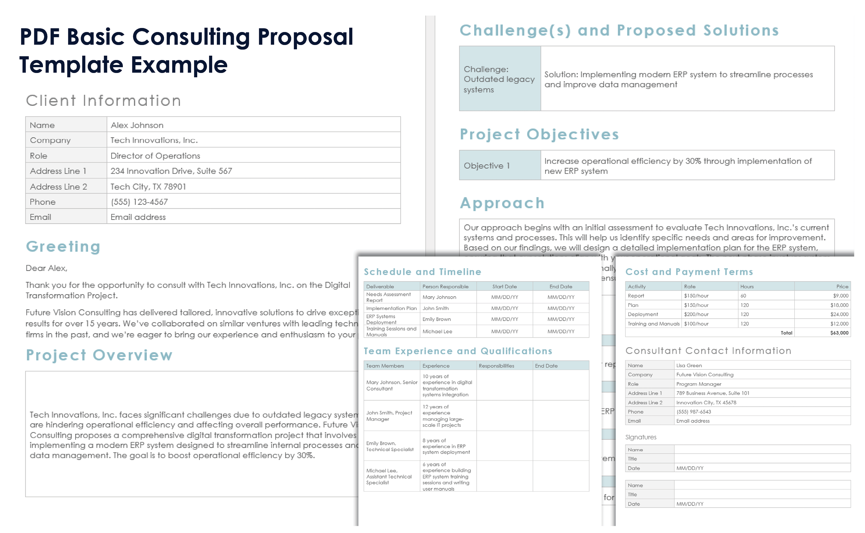 PDF Basic Consulting Proposal Template Example