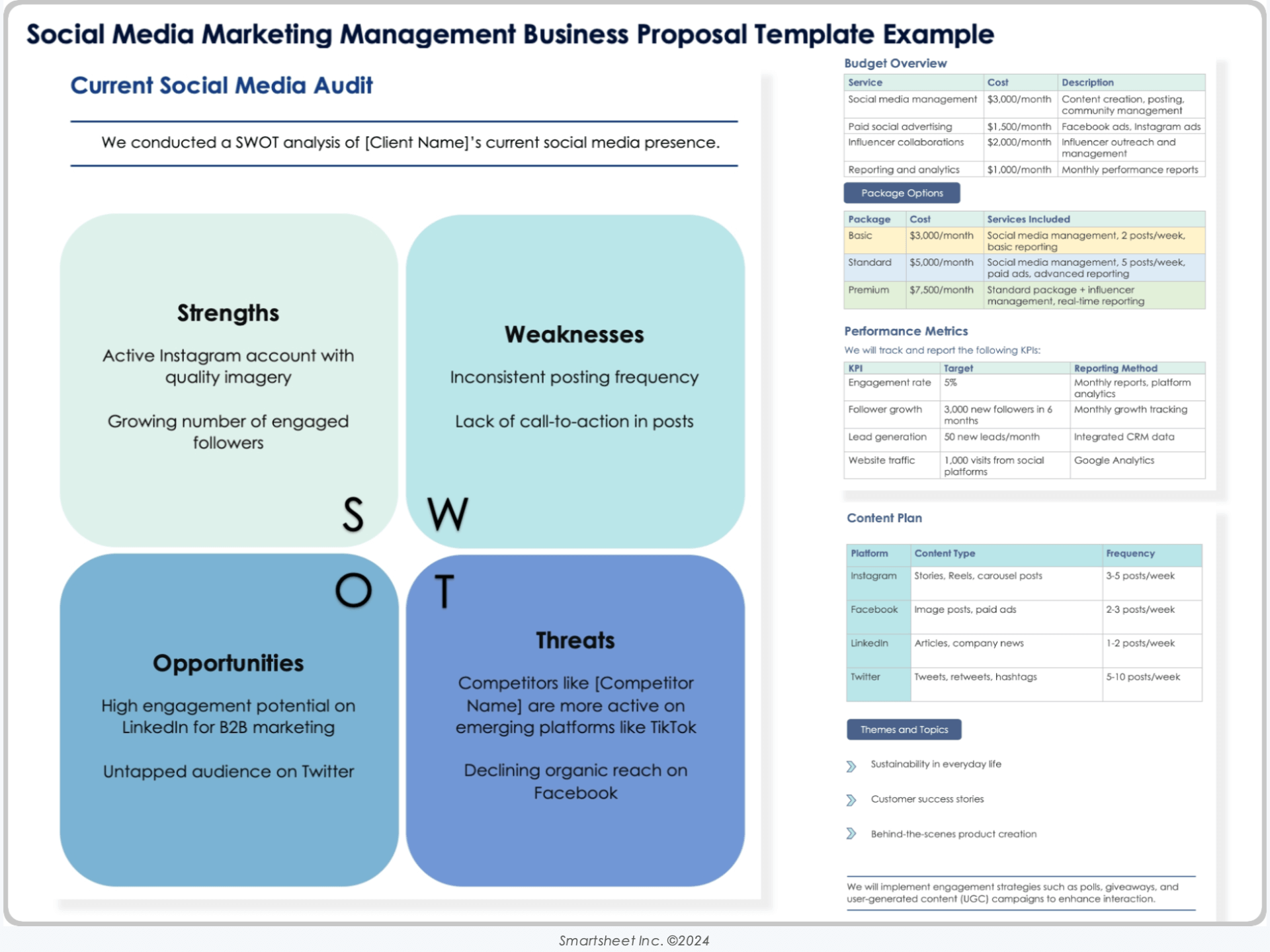 Social Media Marketing Management Business Proposal Template Example