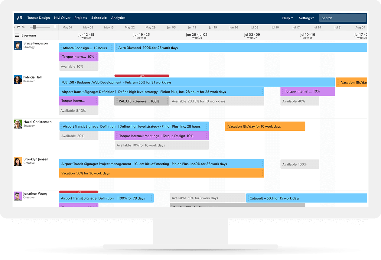 resource plan template excel