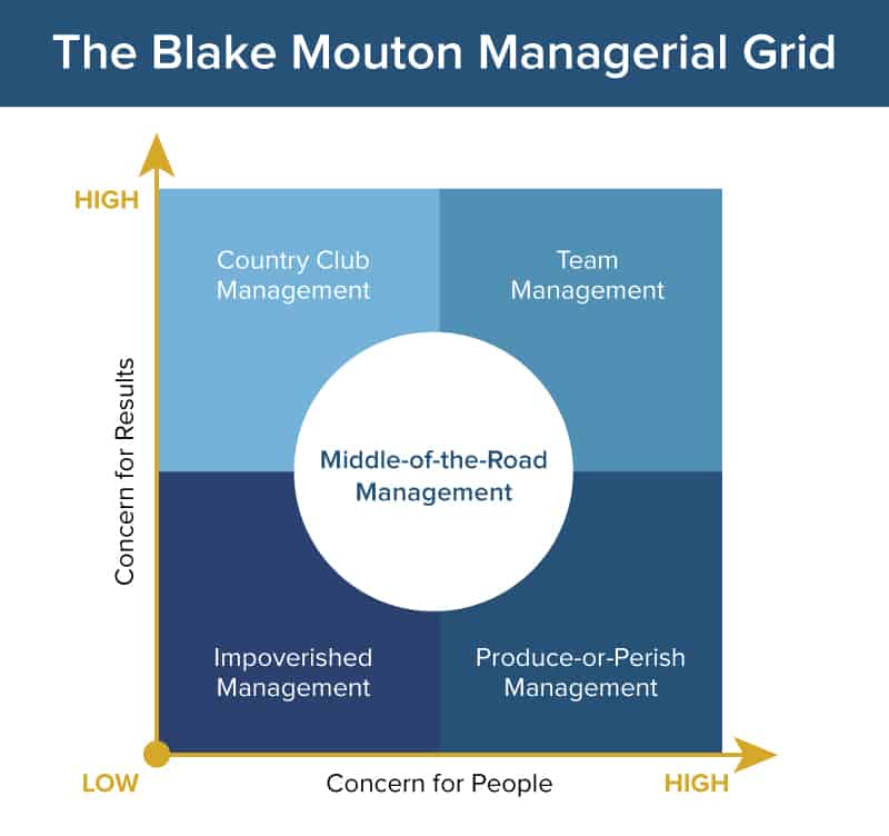 the blake mouton managerial grid apply