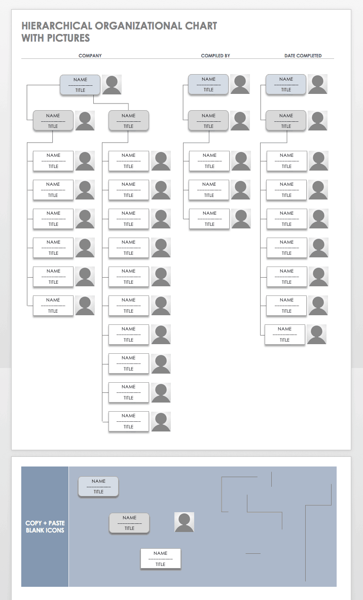 microsoft organization chart template