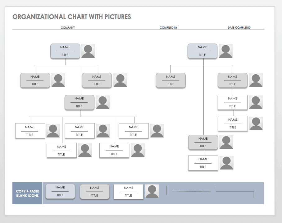 business organizational chart template word