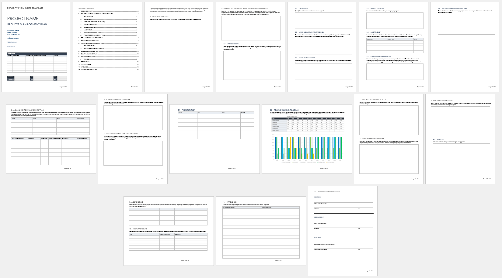 Project Plan Brief Template