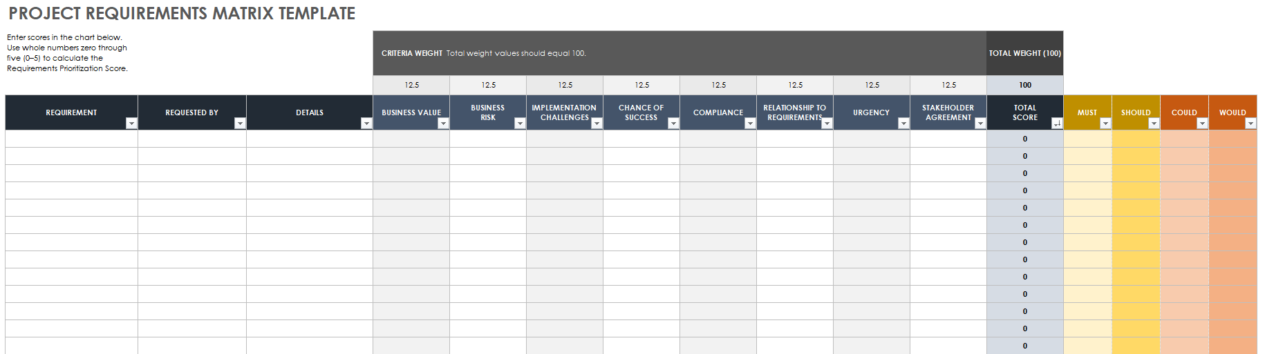 Excel Requirements Template