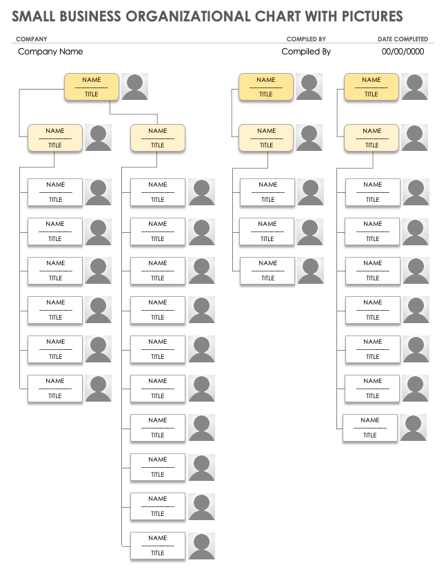 business organizational chart template word