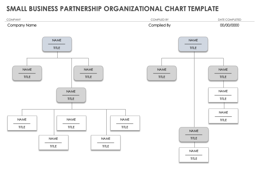 company organizational chart template