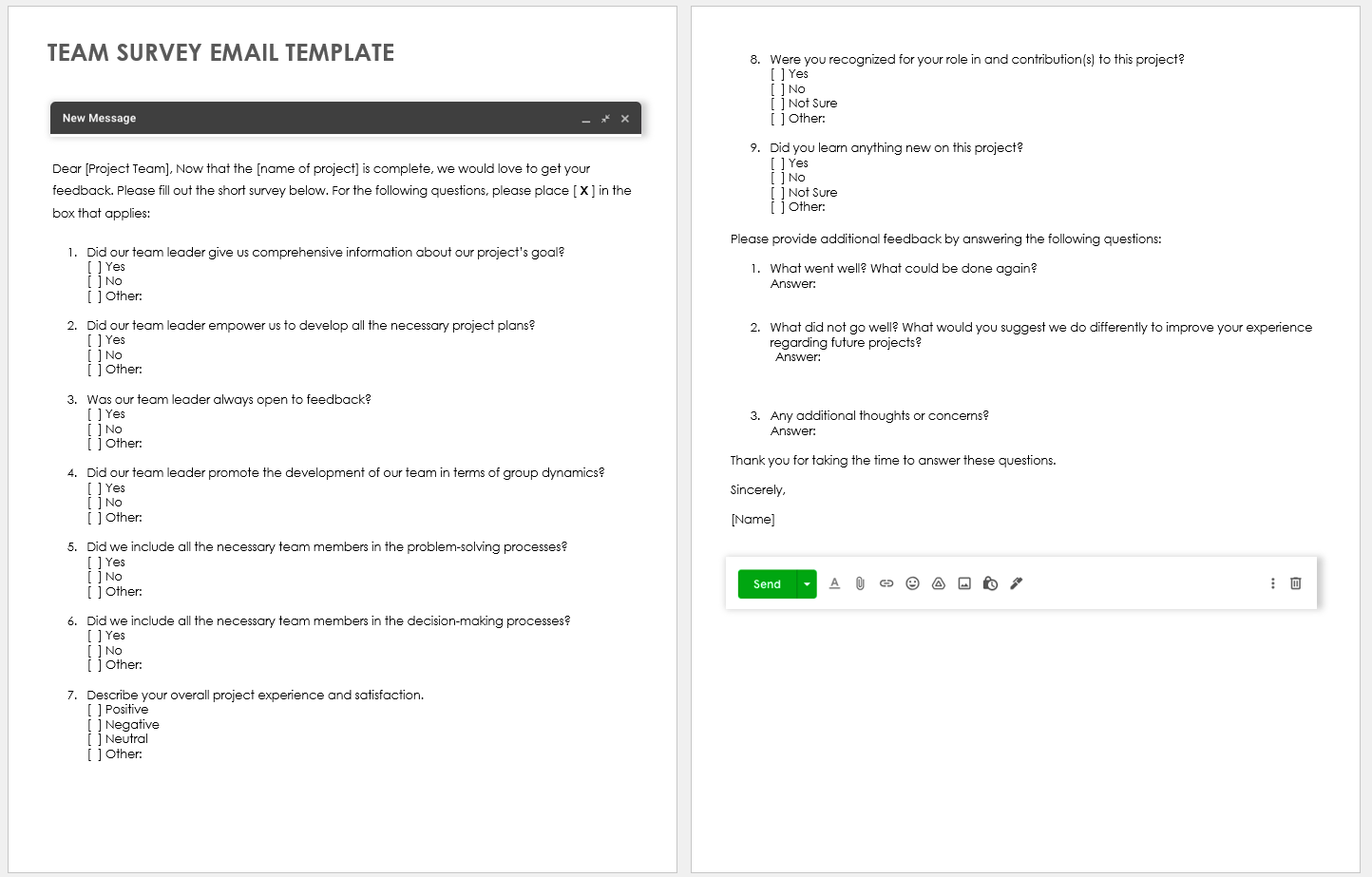 Team Survey Template