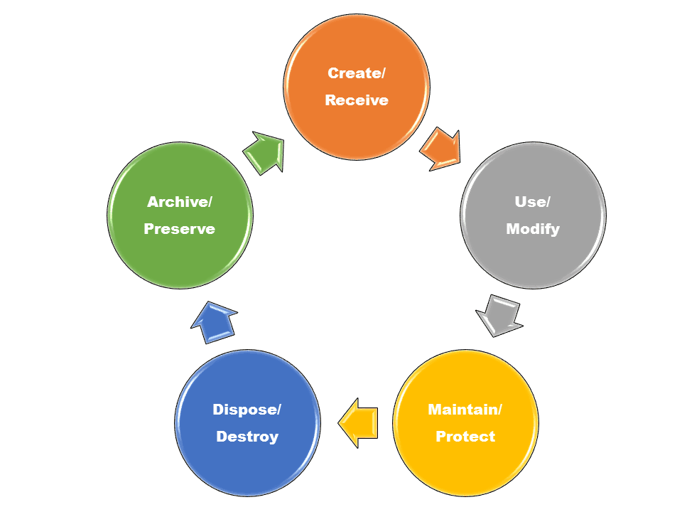 Patient Medical Records Management- Dr. Pad