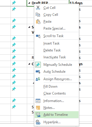 ms project timelines