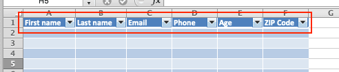 Excel Data Entry Column Titles Added