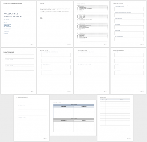 Business Project Report Template