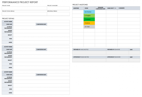 Performance Project Report Template