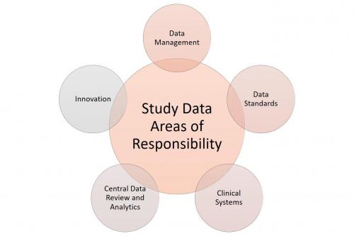 Study Data Areas of Responsibility