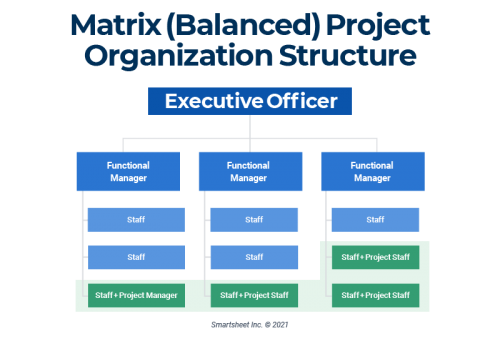 Balanced Matrix Organizational Structure.png