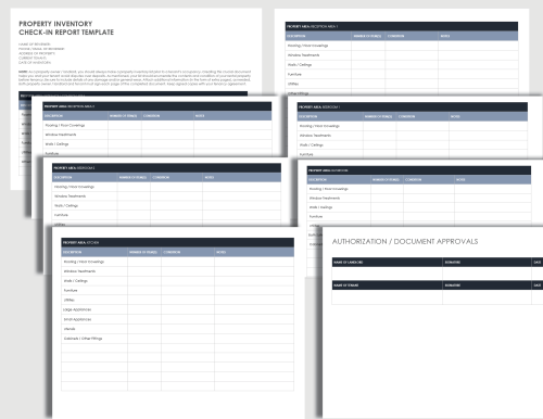 Property Inventory Check In Report Template