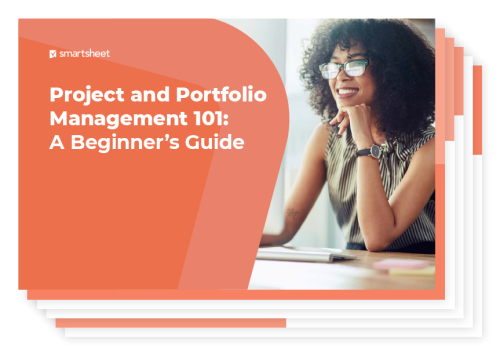 project and portfolio management 101 ebook