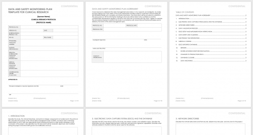 Data and Safety Monitoring Plan Template for Clinical Research