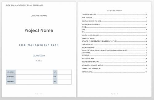 Risk management plan template