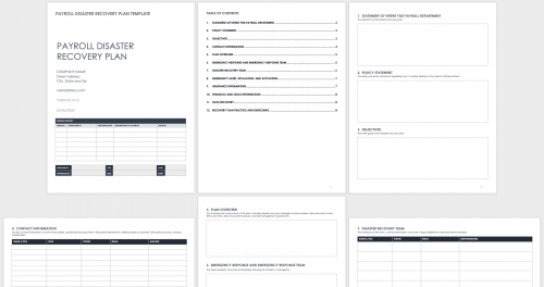 Payroll Disaster Recovery Plan Template