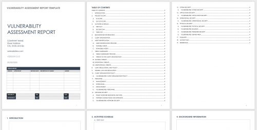 Vulnerability Assessment Report Template