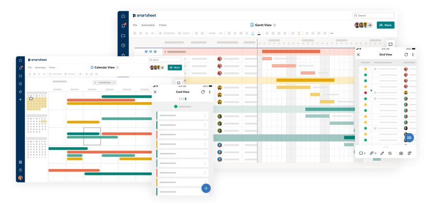 smartsheet business plan plus pro